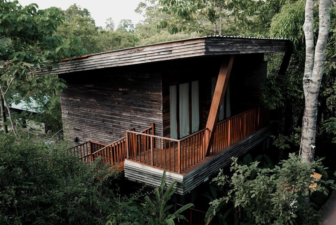 De Foret Elephant Beach Exterior foto