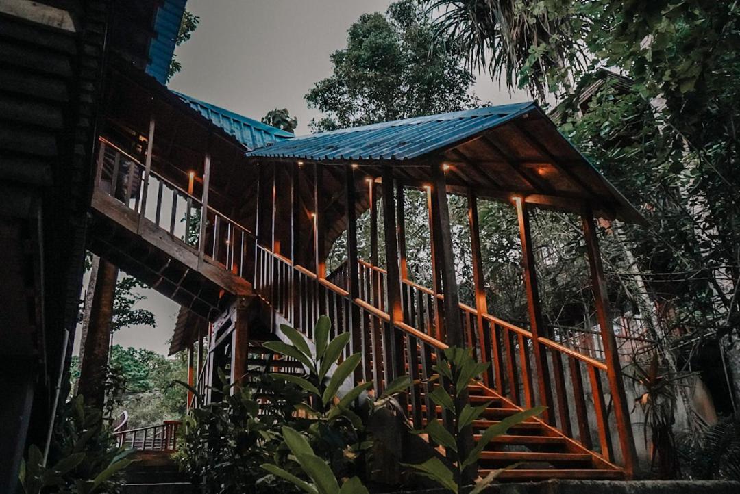 De Foret Elephant Beach Exterior foto