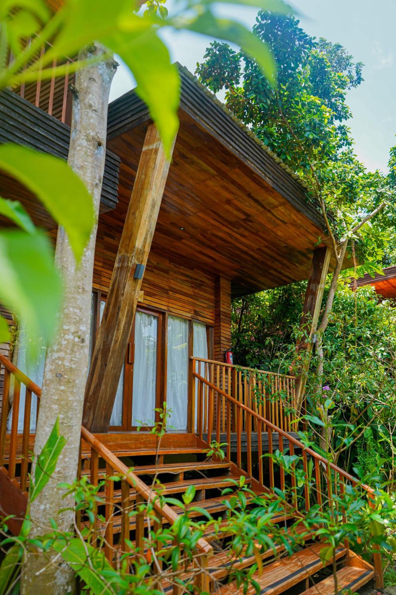 De Foret Elephant Beach Exterior foto