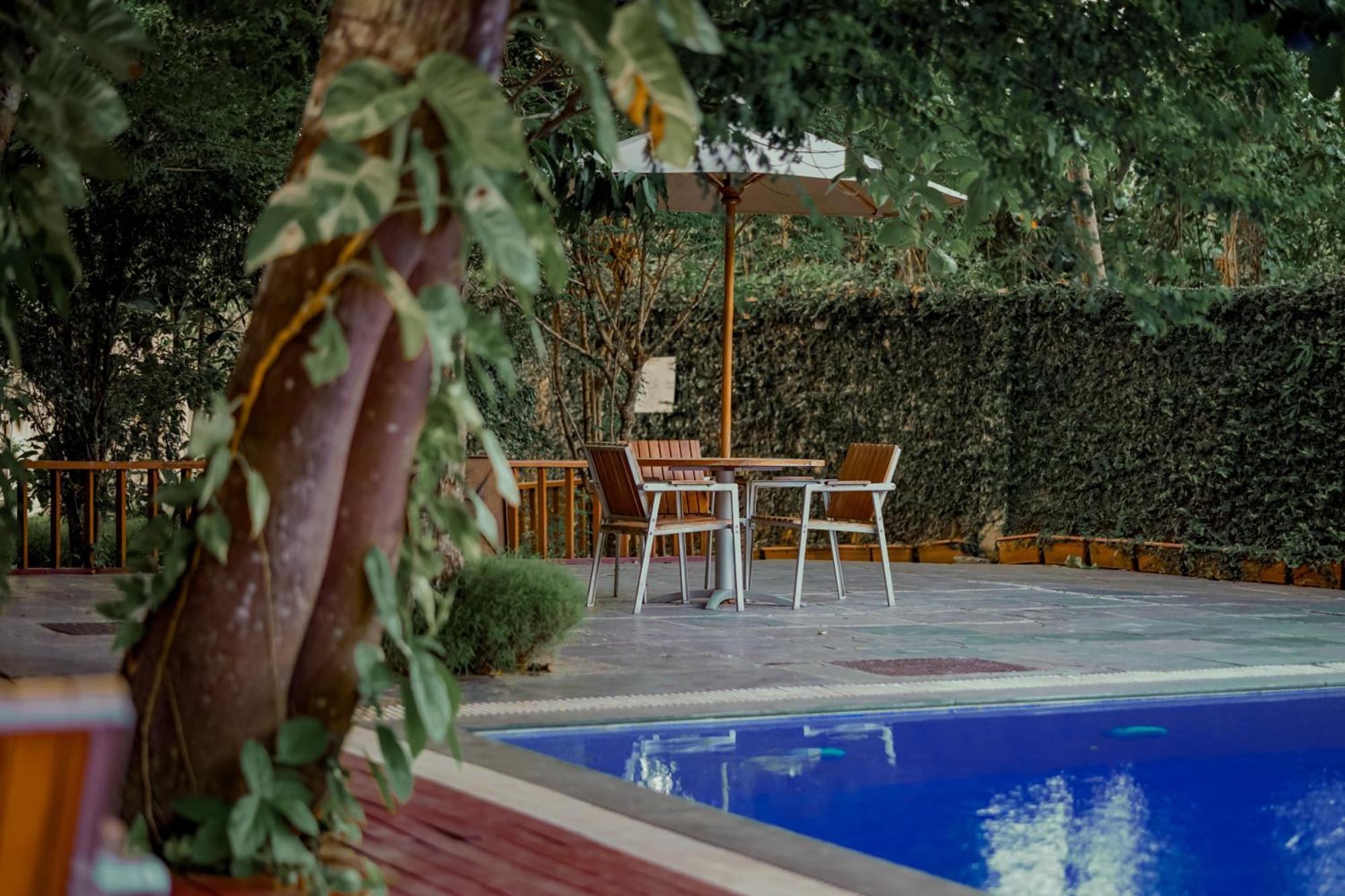 De Foret Elephant Beach Exterior foto
