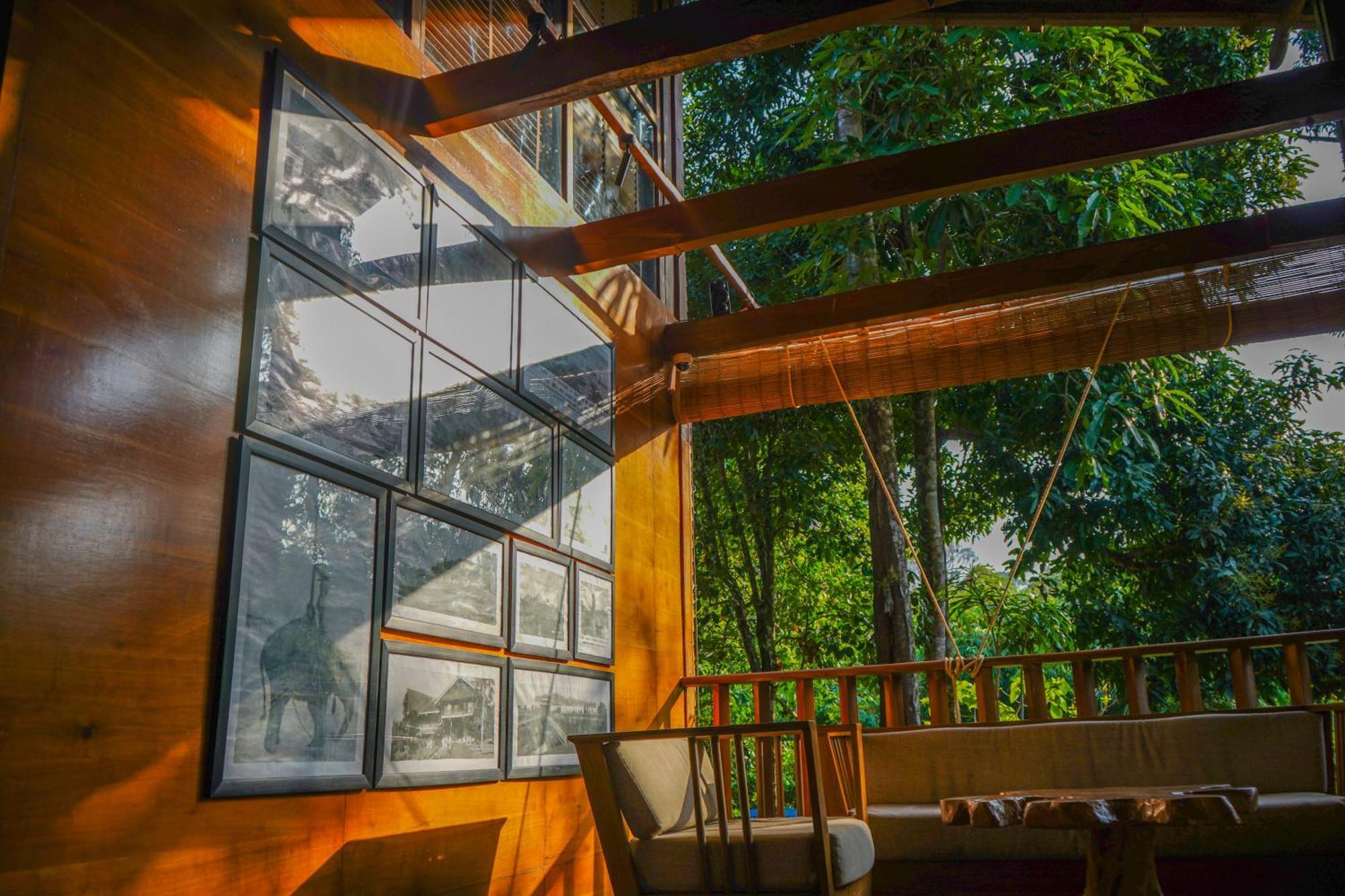 De Foret Elephant Beach Exterior foto