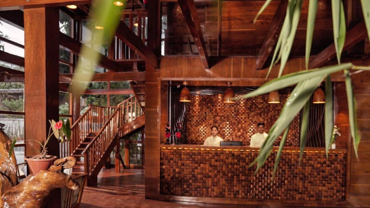 De Foret Elephant Beach Exterior foto